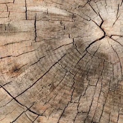 Regular logs